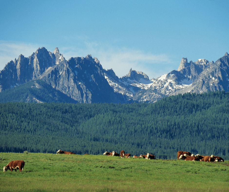 Locally Owned & Operated